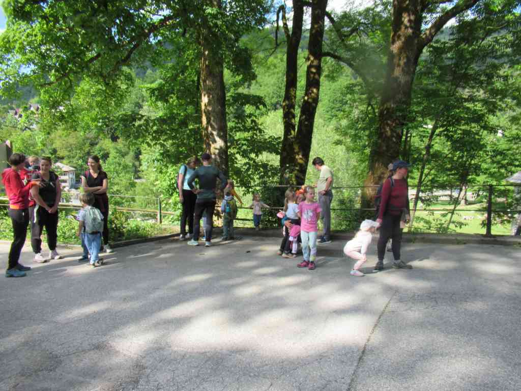 IMG_0720_1024x768